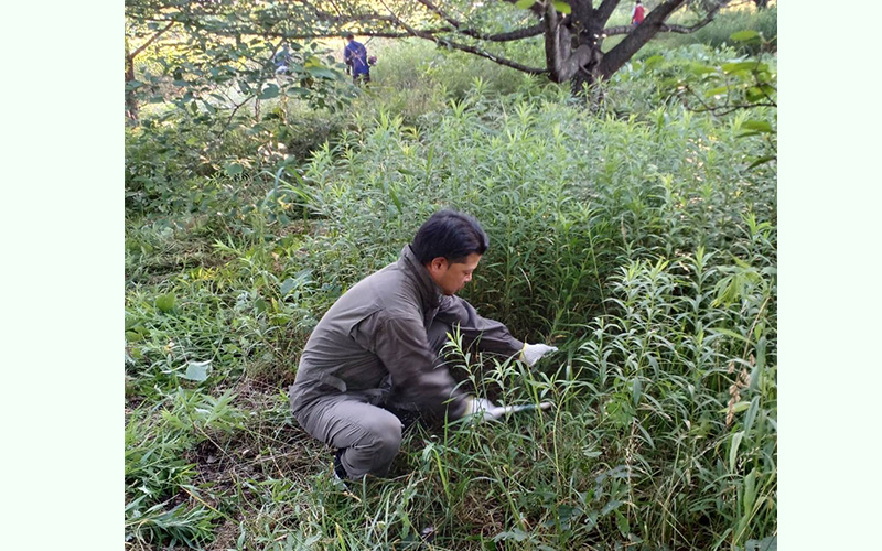 文化継承/奉仕作業