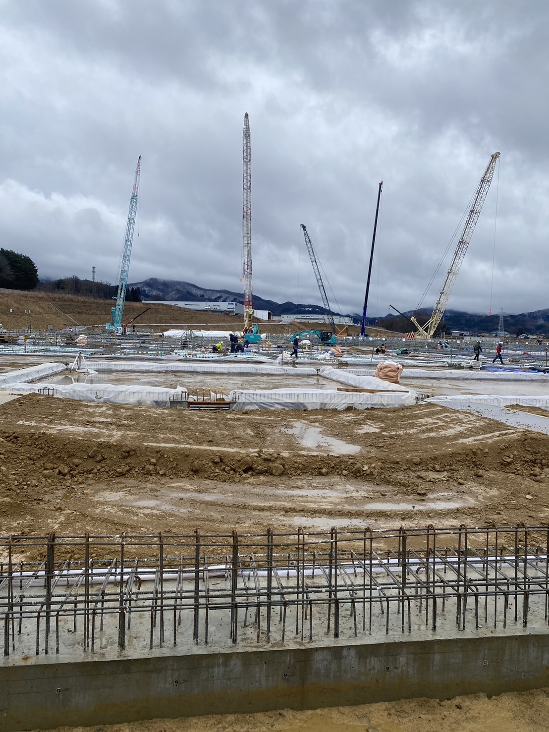 遠野某工場新築工事【仮設工事】